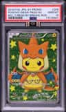 Poncho-Wearing Pikachu