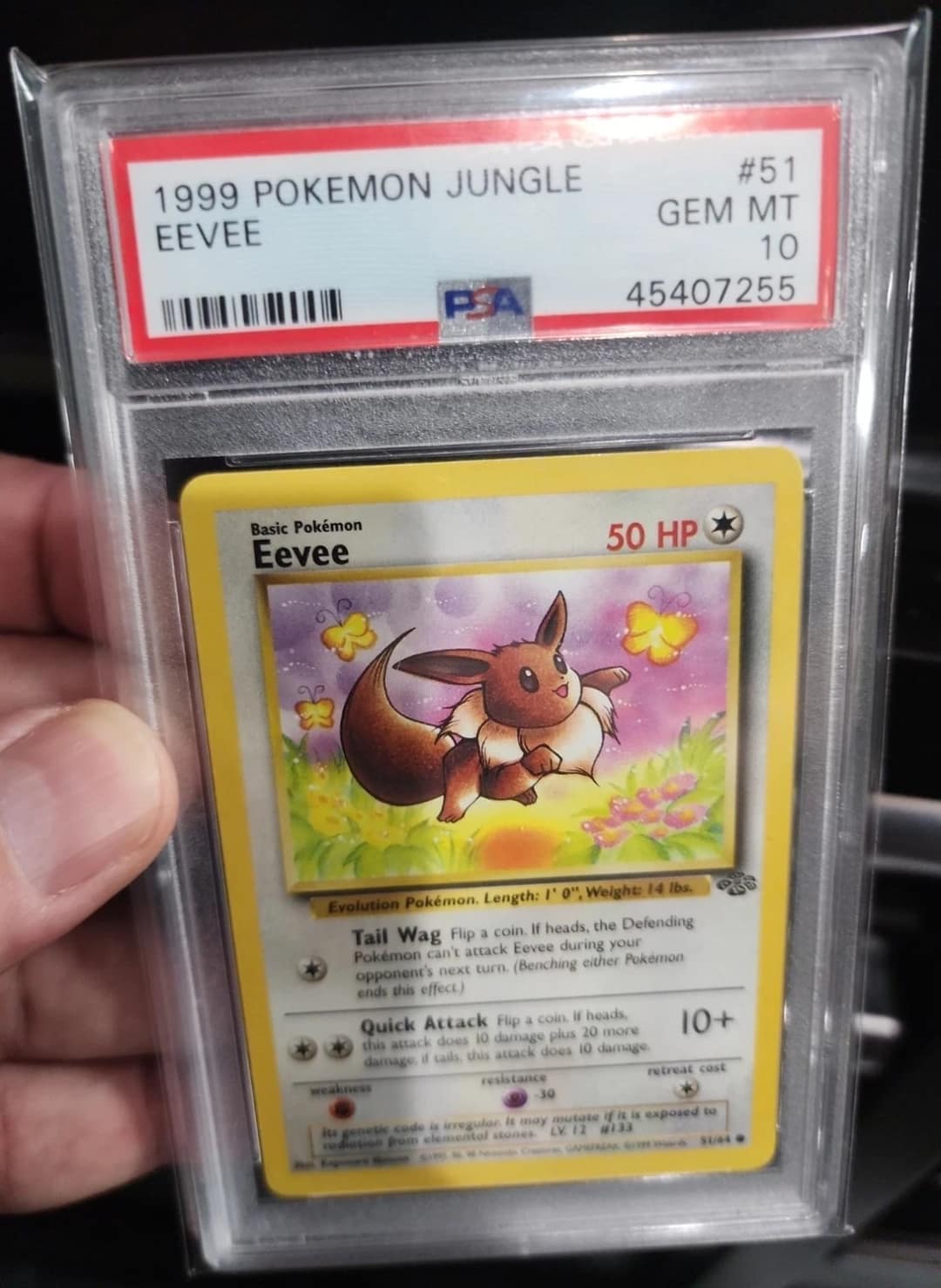 Eevee