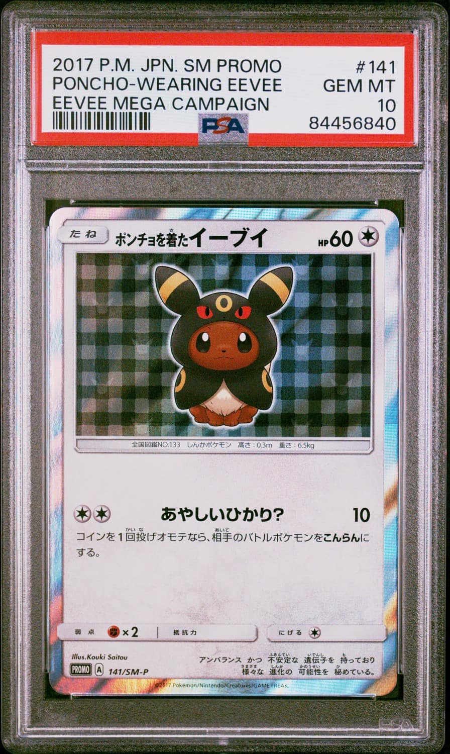 Poncho-Wearing Eevee