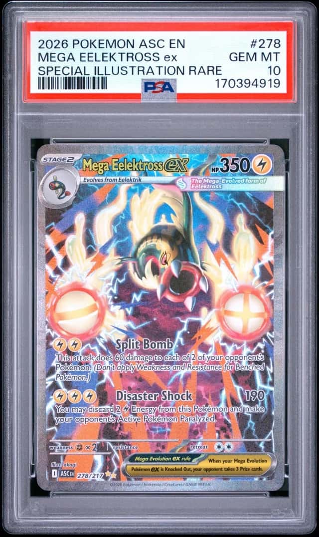 MEGA EELEKTROSS ex