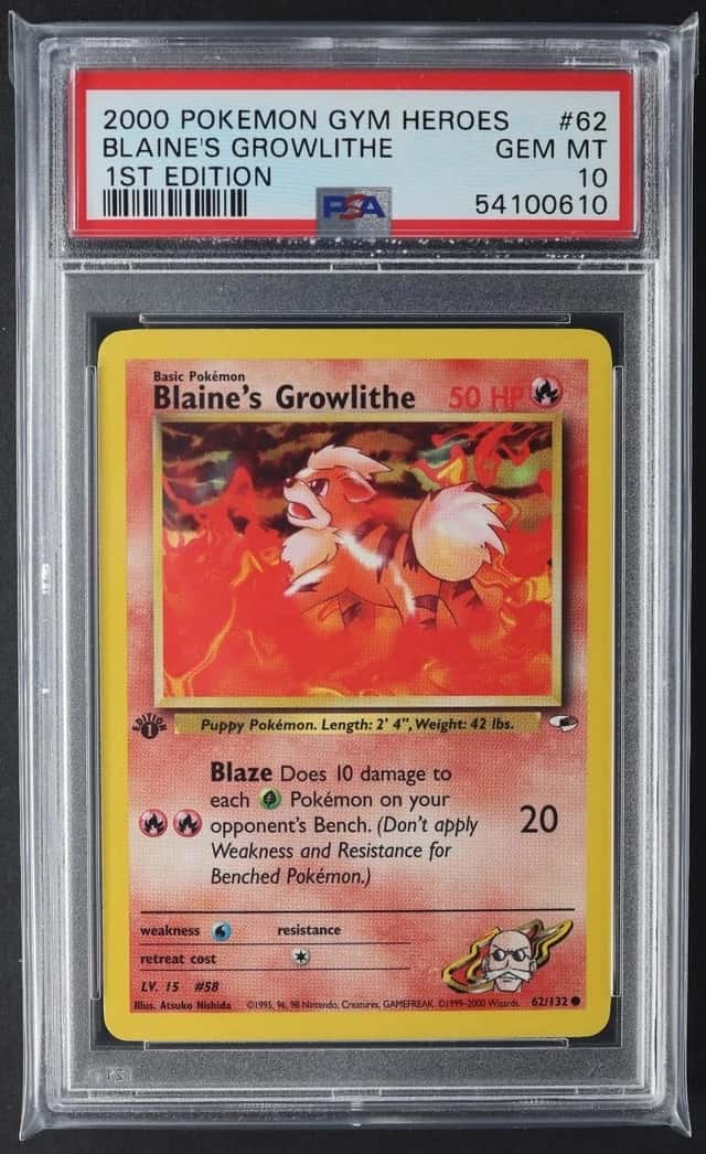 Blaine's Growlithe