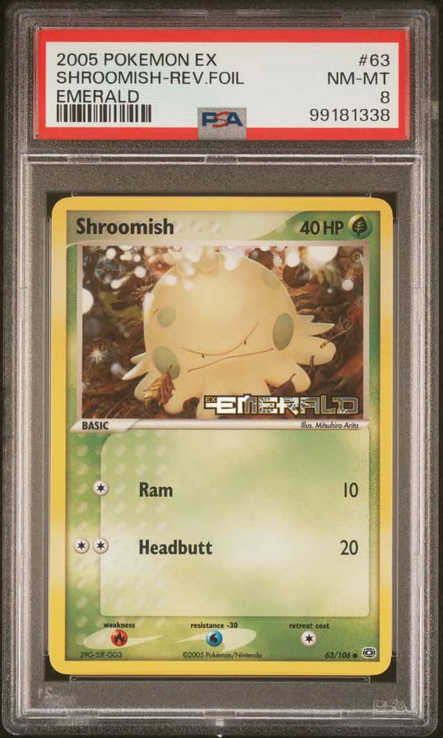 Shroomish