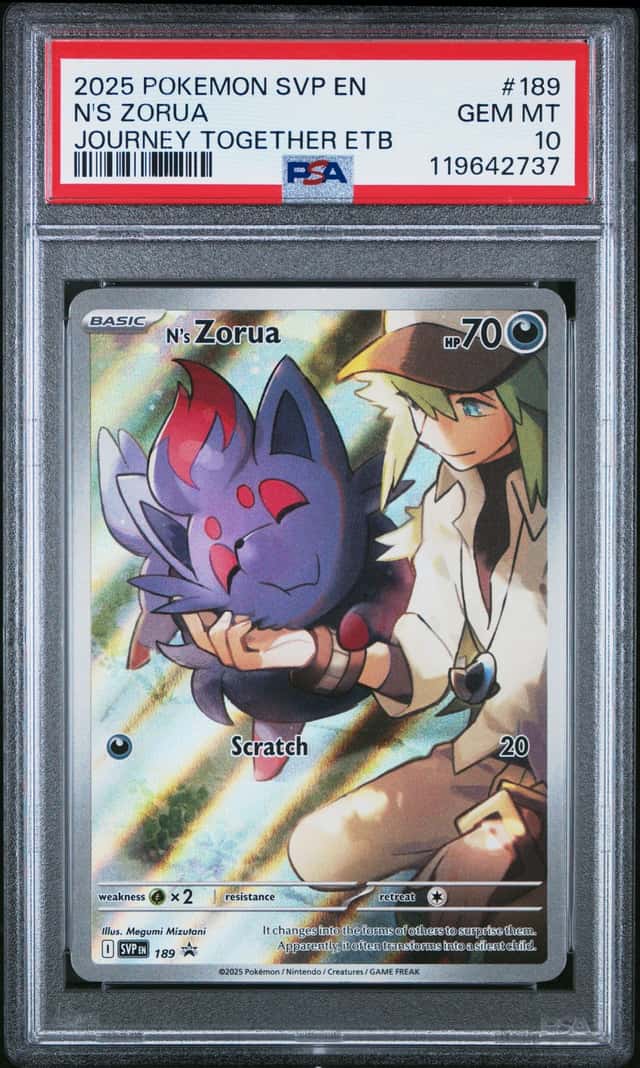 N's Zorua