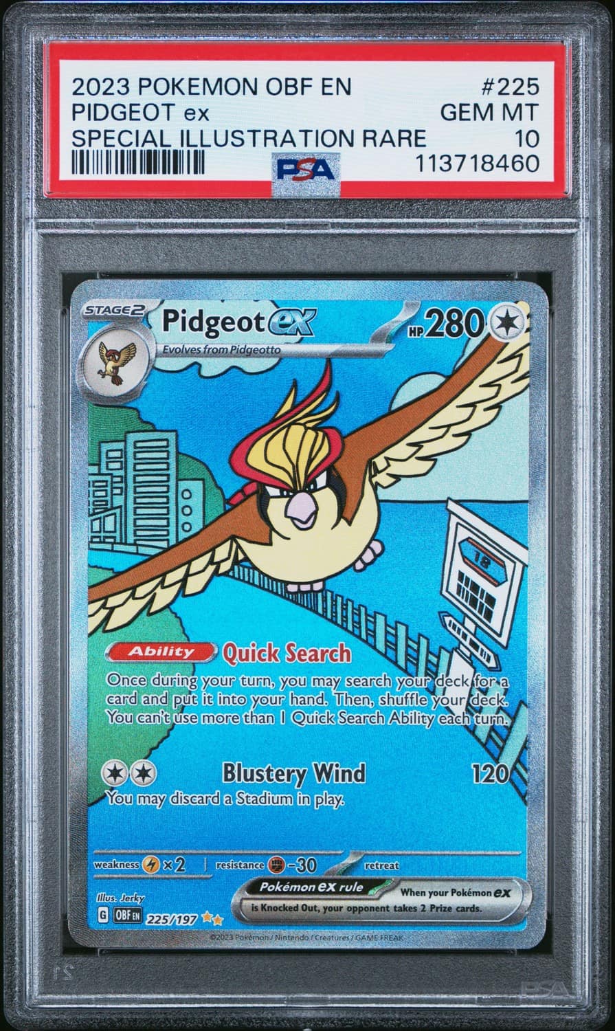 Pidgeot Ex
