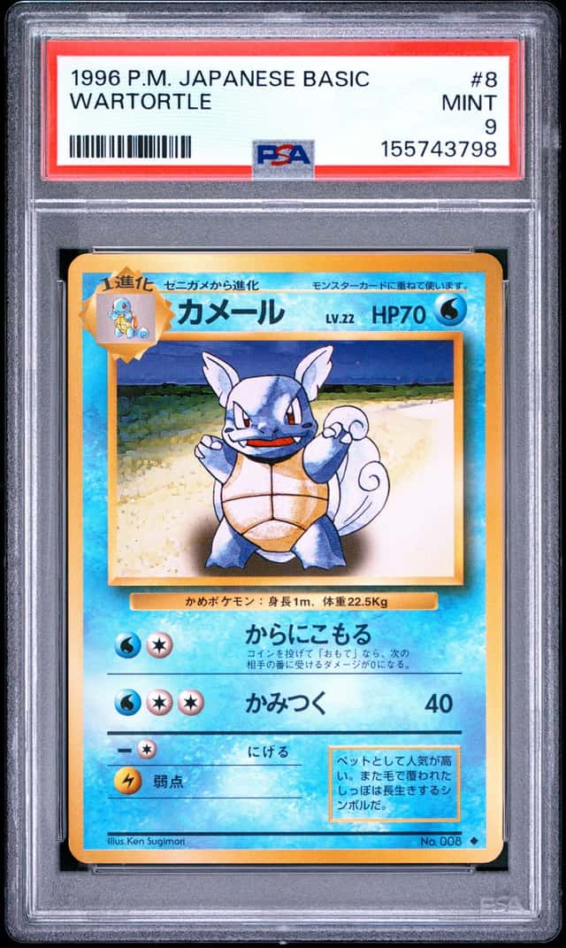 Wartortle