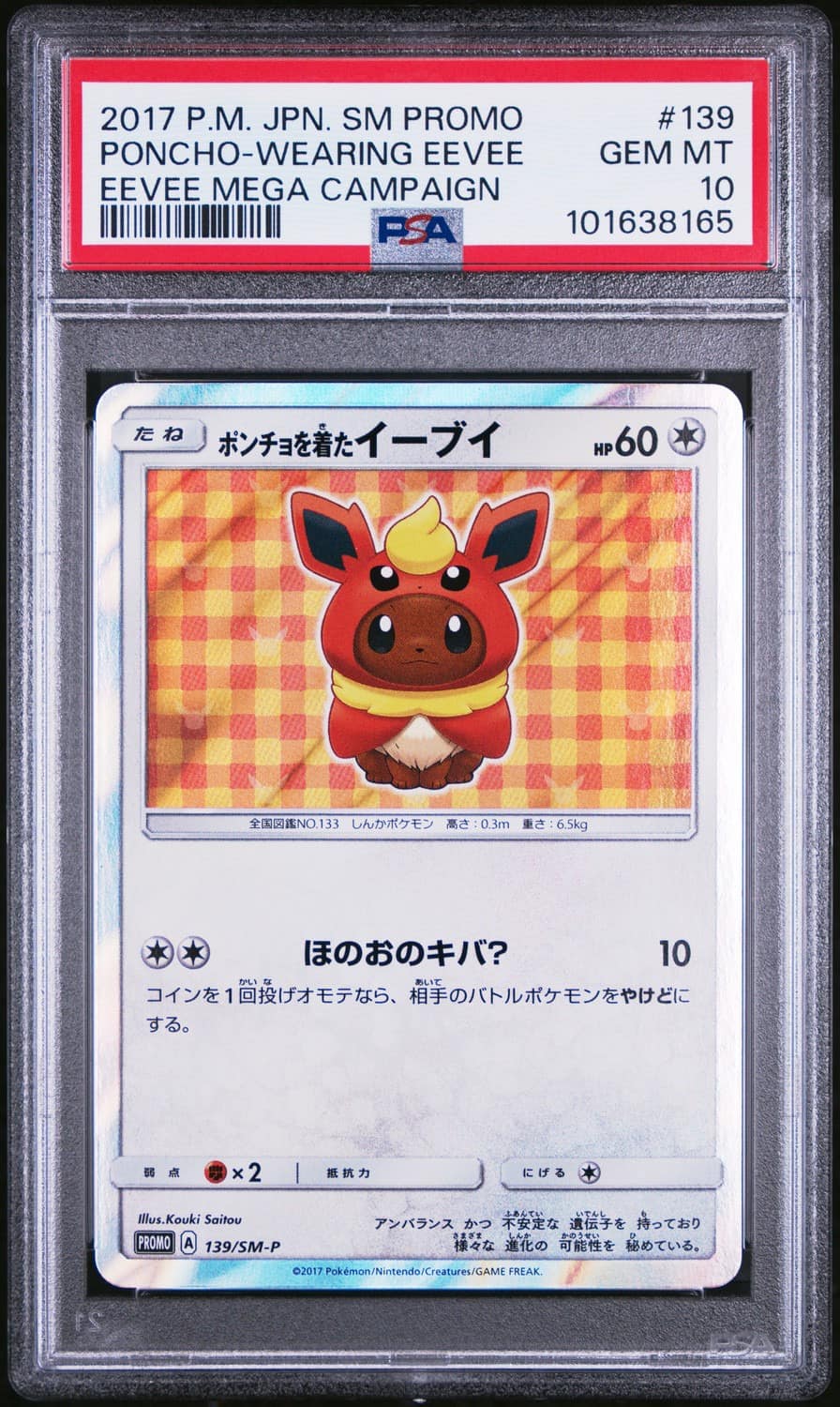Poncho-Wearing Eevee