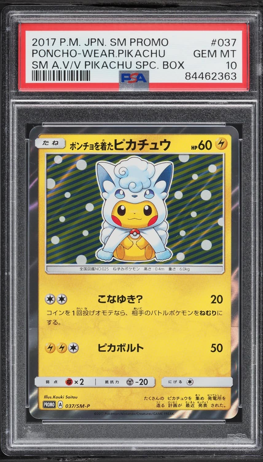 Poncho-Wearing Pikachu