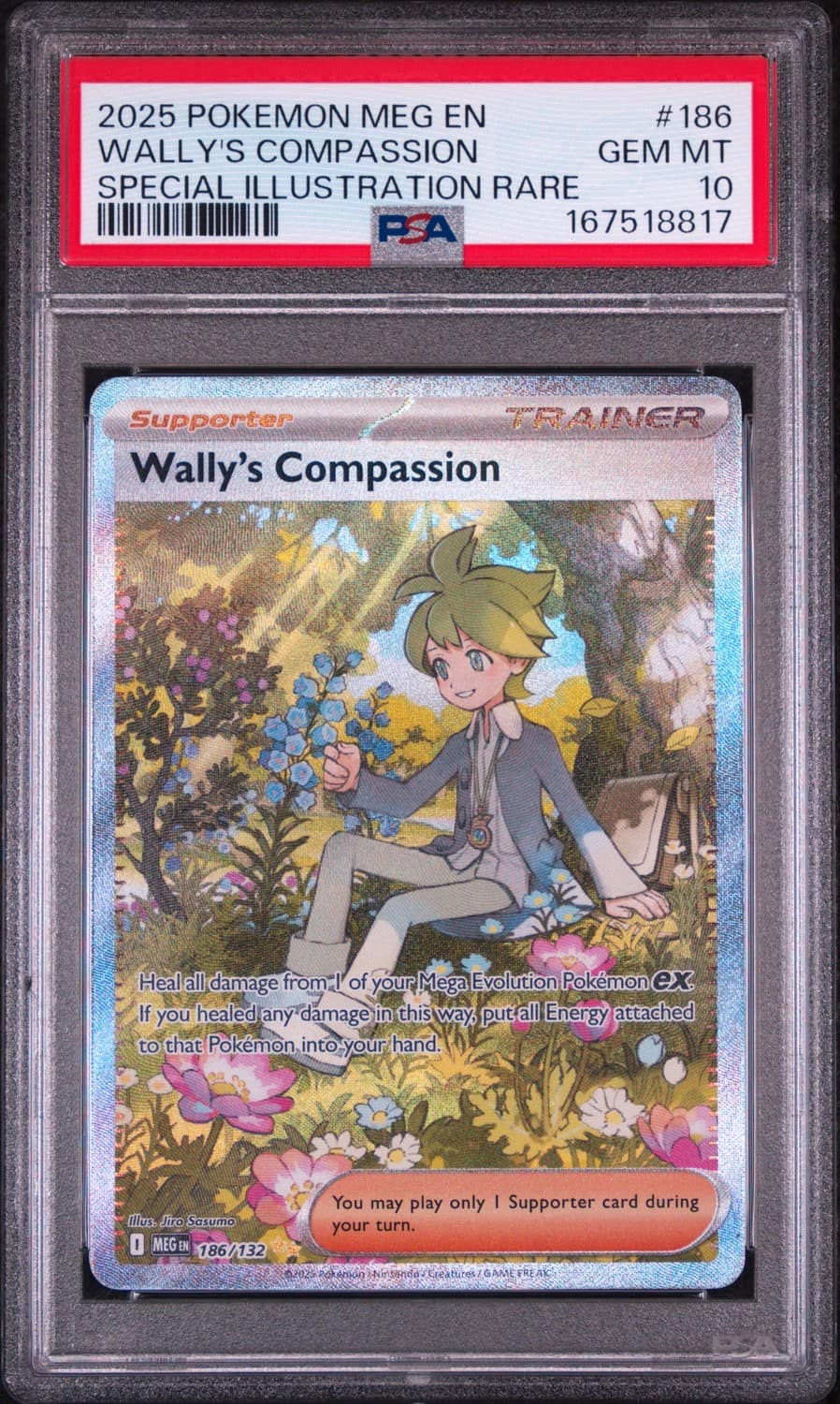 Wally'S Compassion
