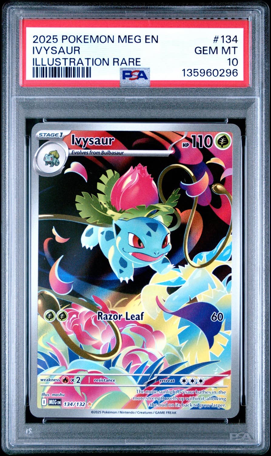 Ivysaur