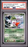Icy Sky'S Shaymin
