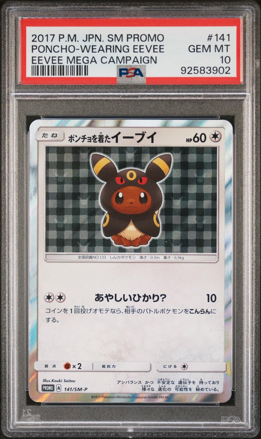Poncho-Wearing Eevee