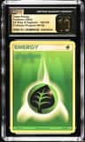 Grass Energy