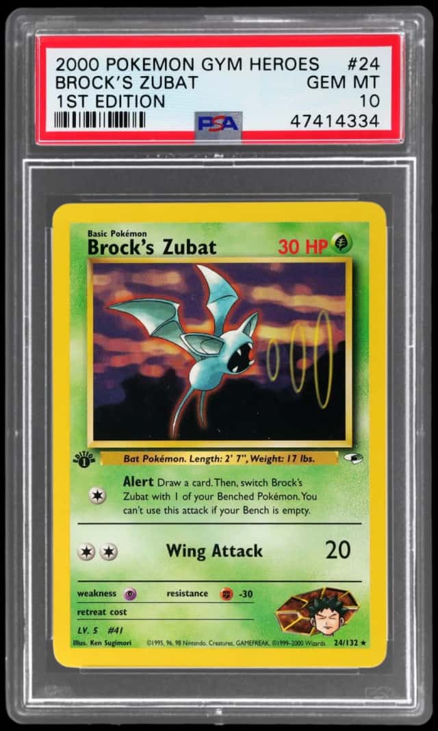 Brock's Zubat