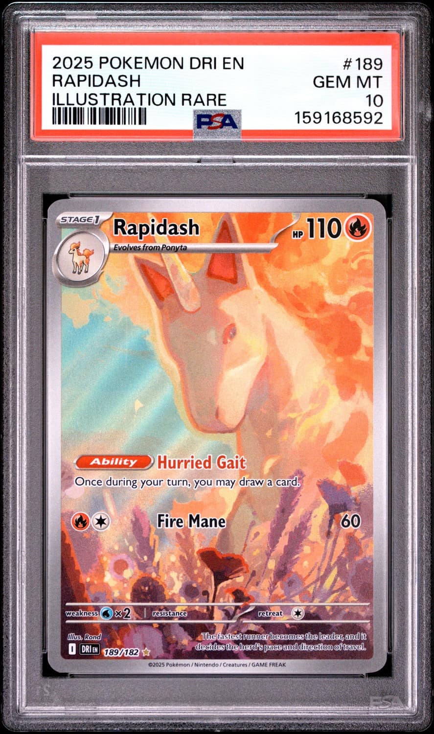 Rapidash