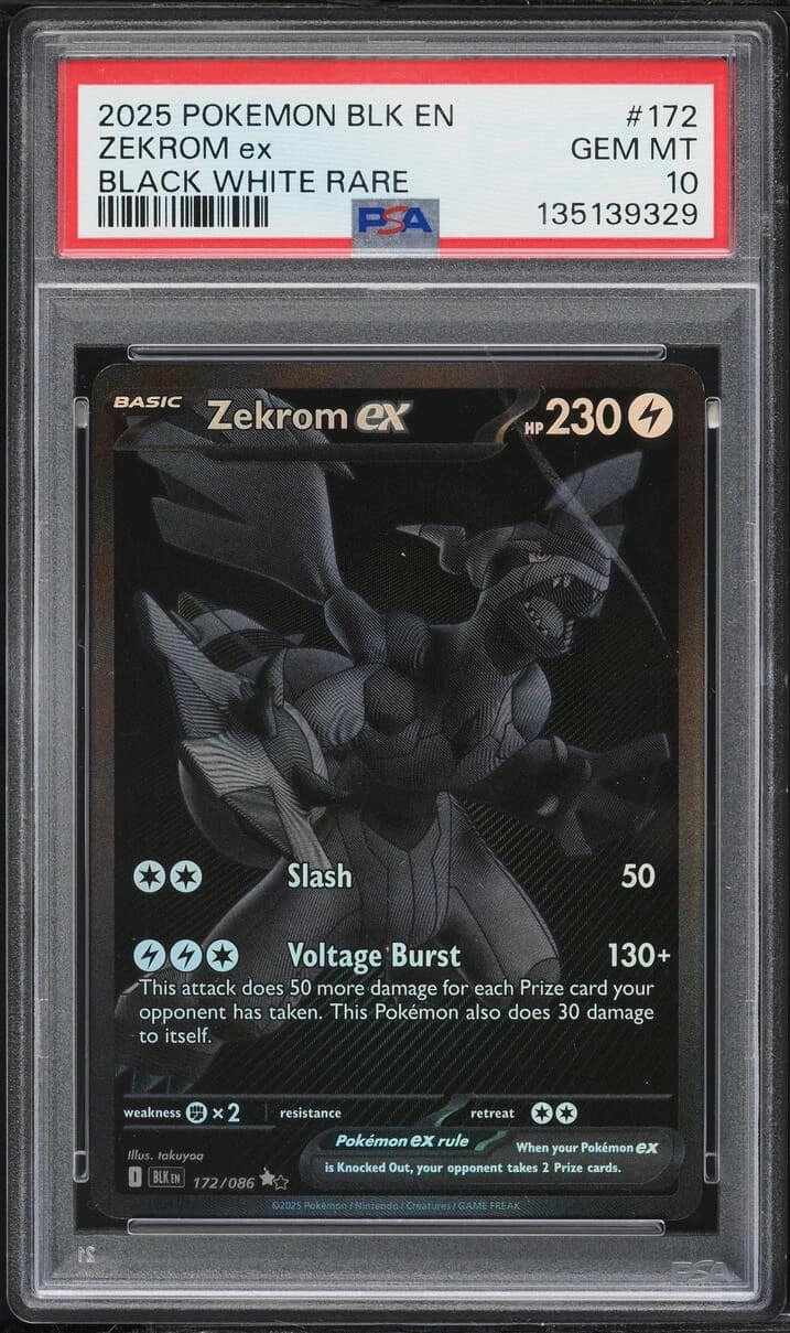 Zekrom Ex