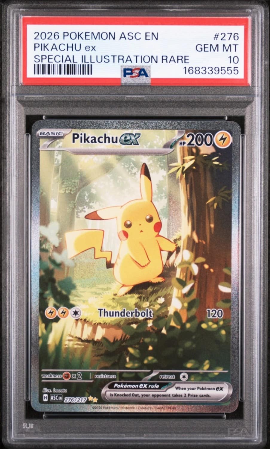Pikachu Ex