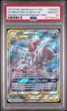 Mewtwo & Mew Gx