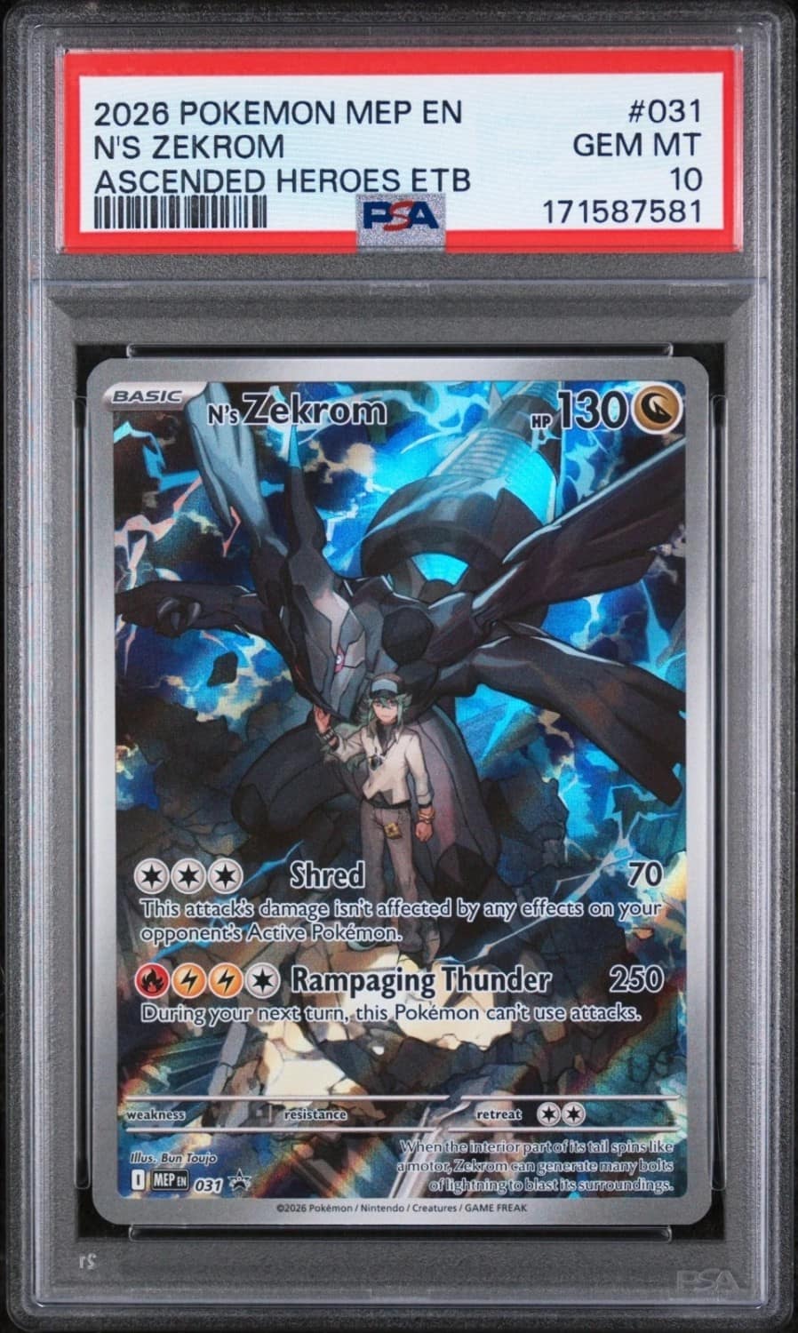 N'S Zekrom