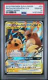 Raichu & Alolan Raichu Gx