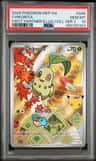 Chikorita