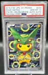 Poncho-Wearing Pikachu