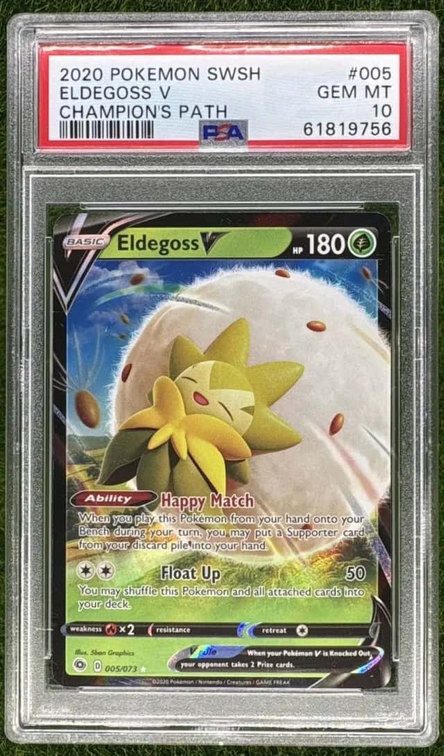 Eldegoss V