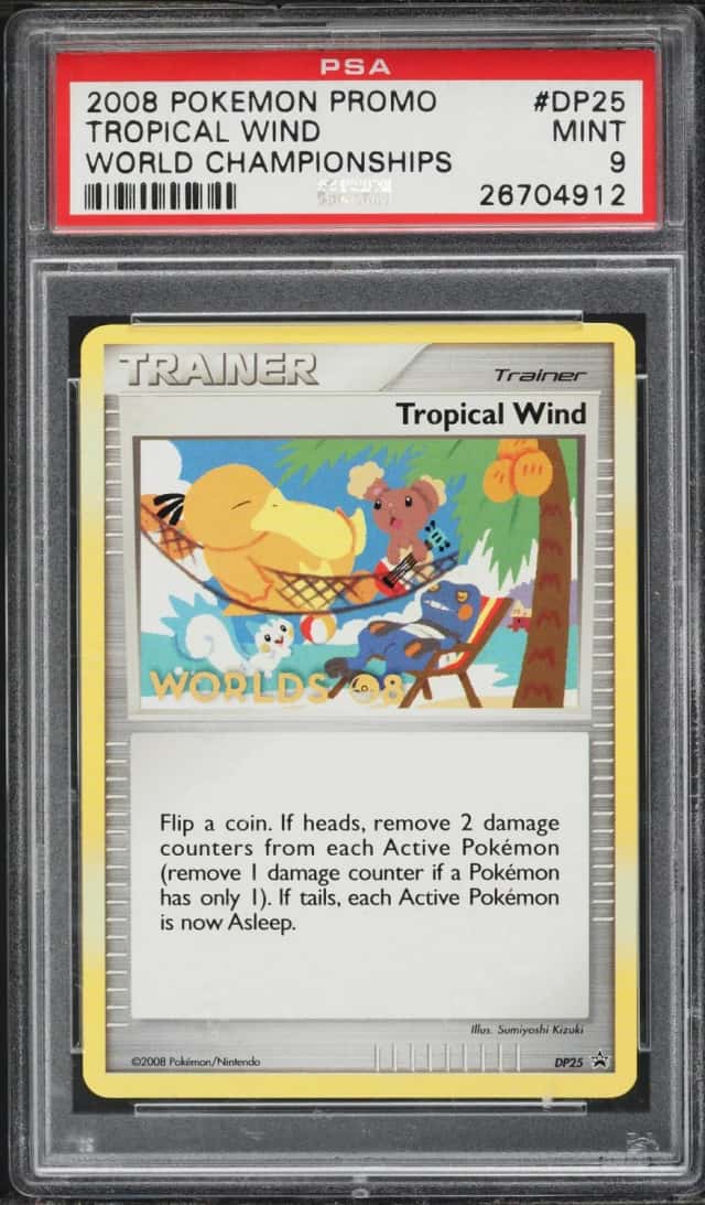 Tropical Wind