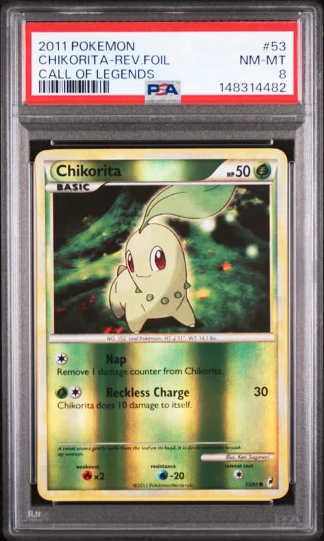 Chikorita
