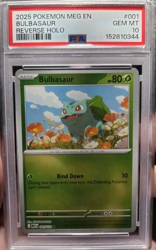 Bulbasaur