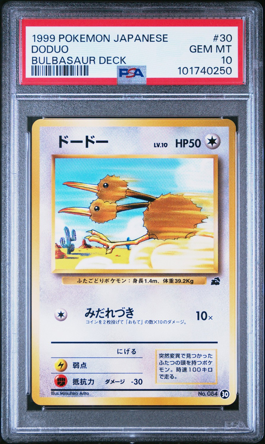 Doduo