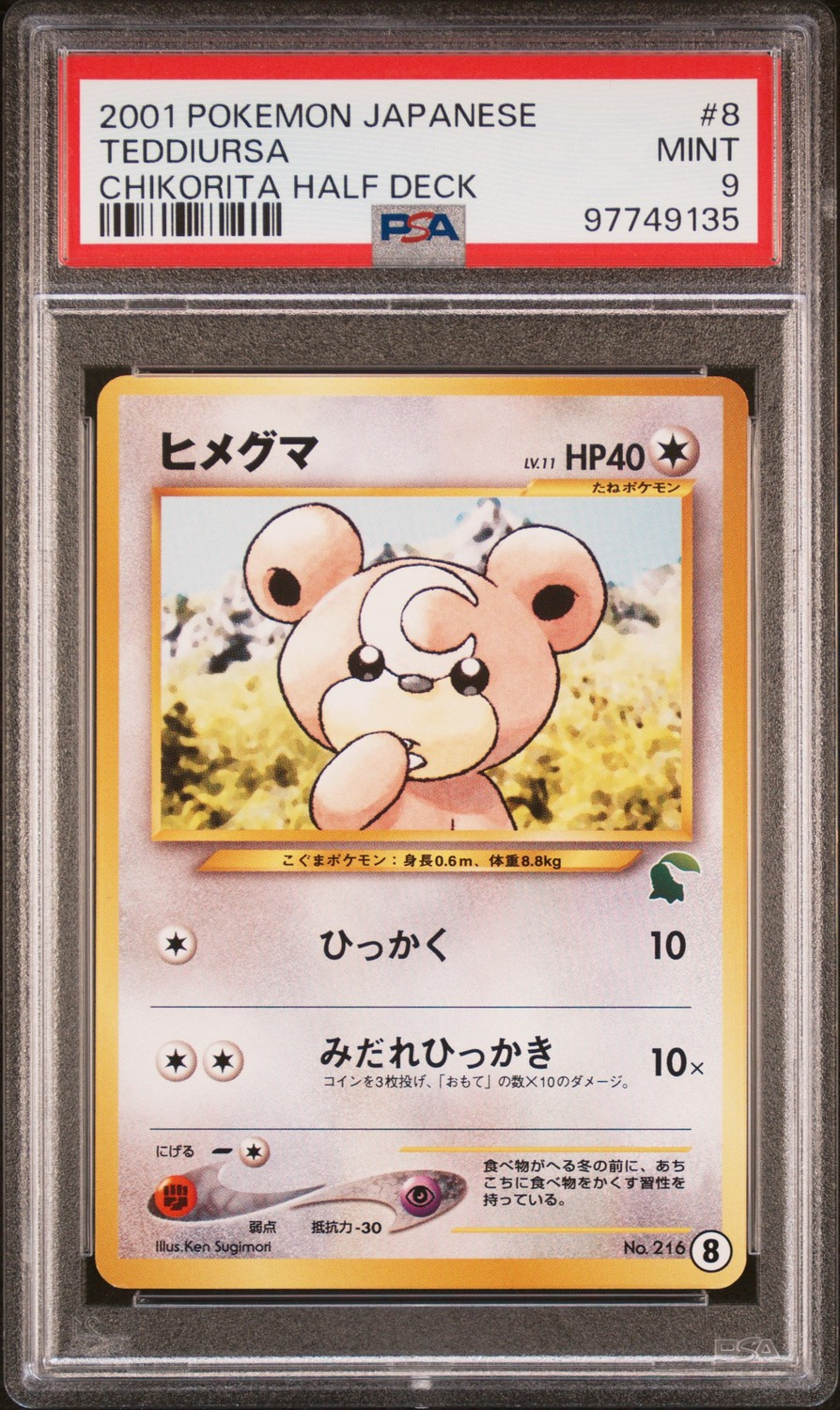 Teddiursa