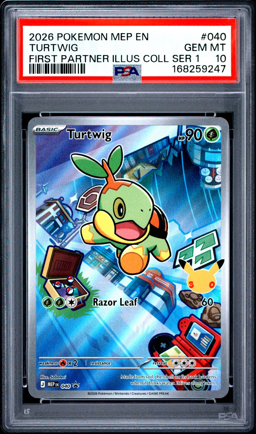 Turtwig