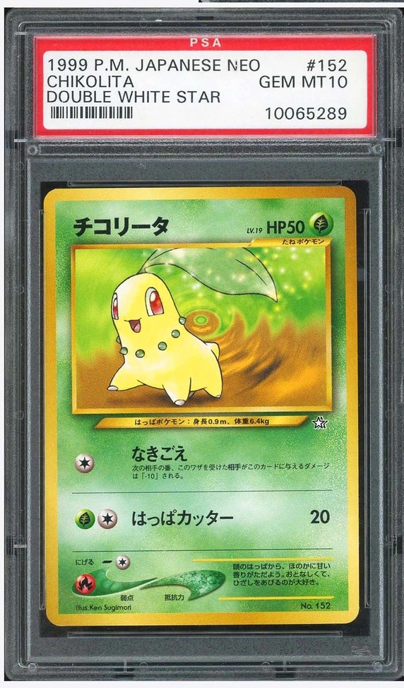 Chikorita