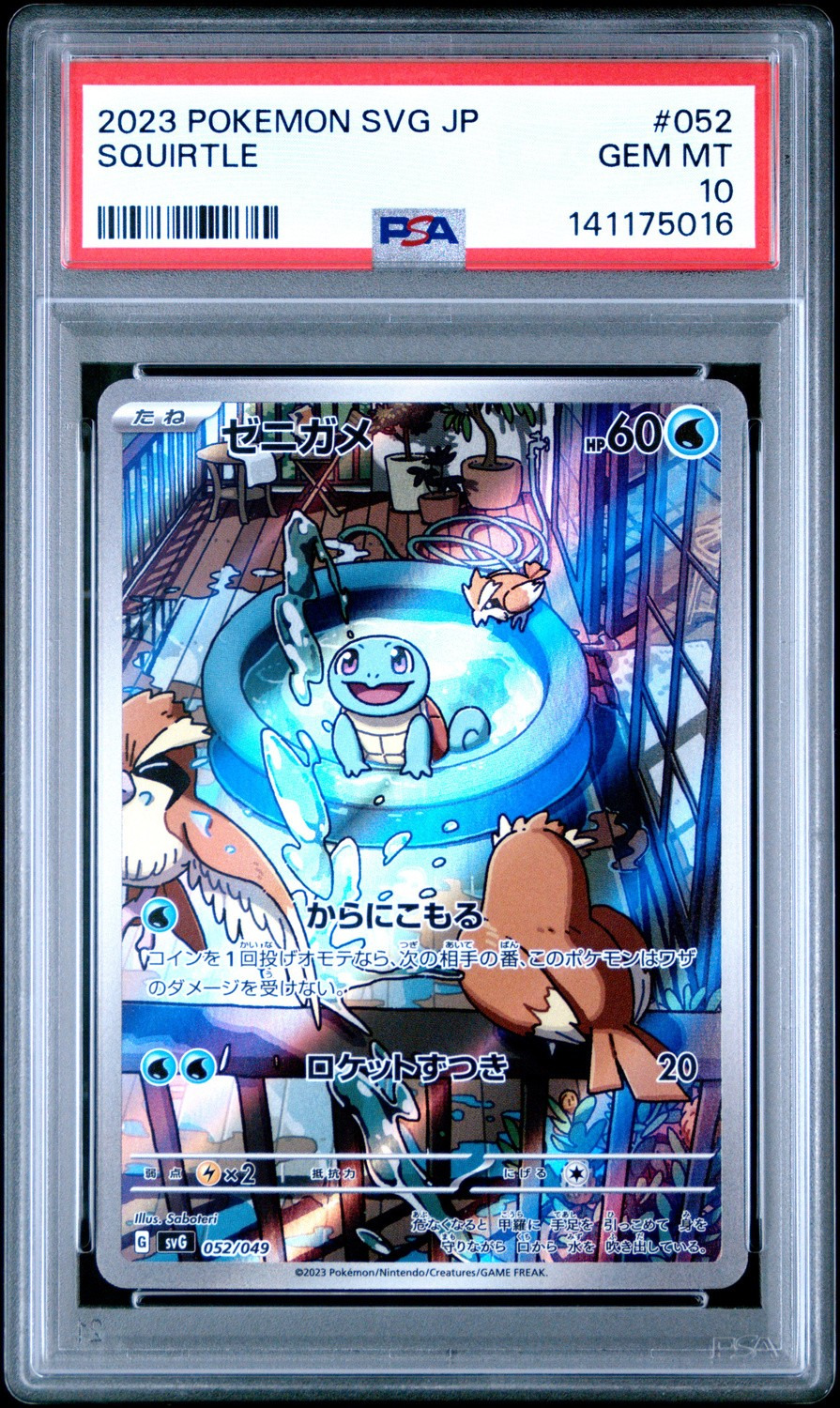 Squirtle
