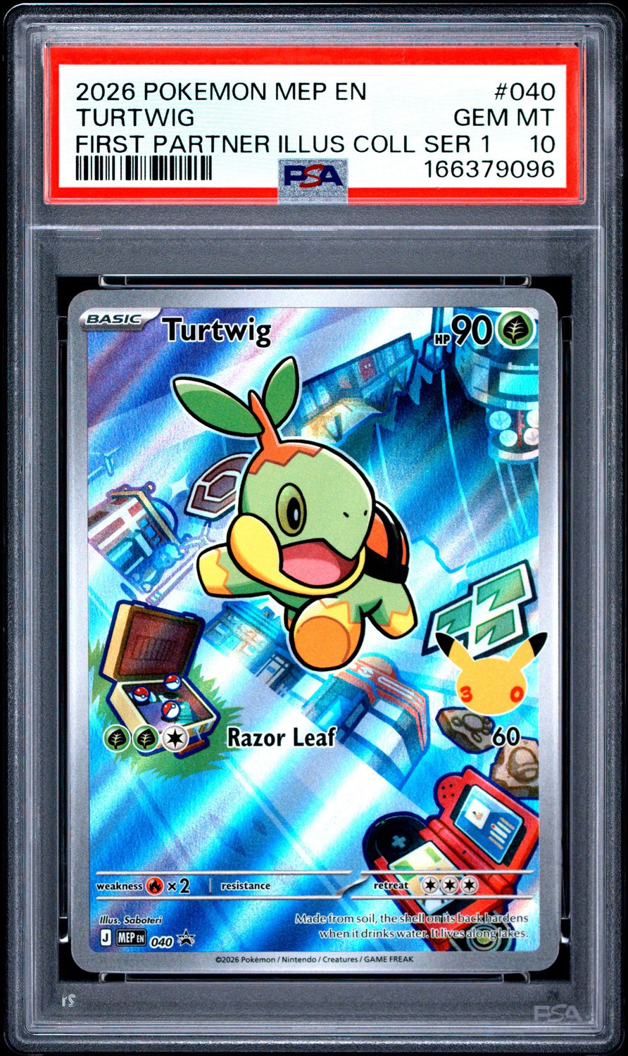 Turtwig