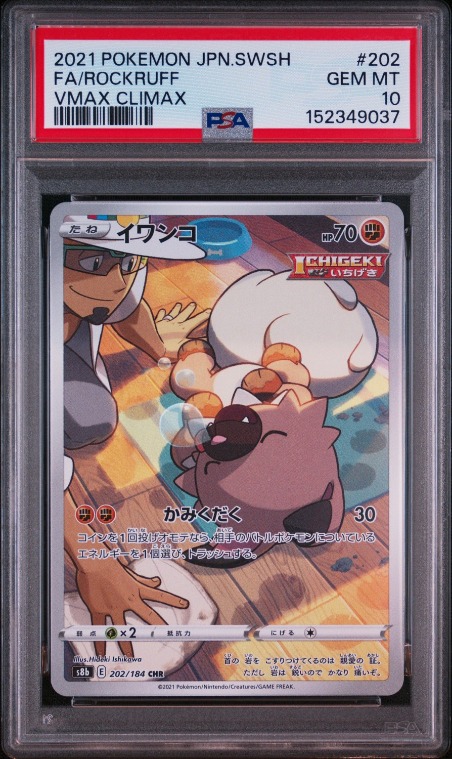 Rockruff