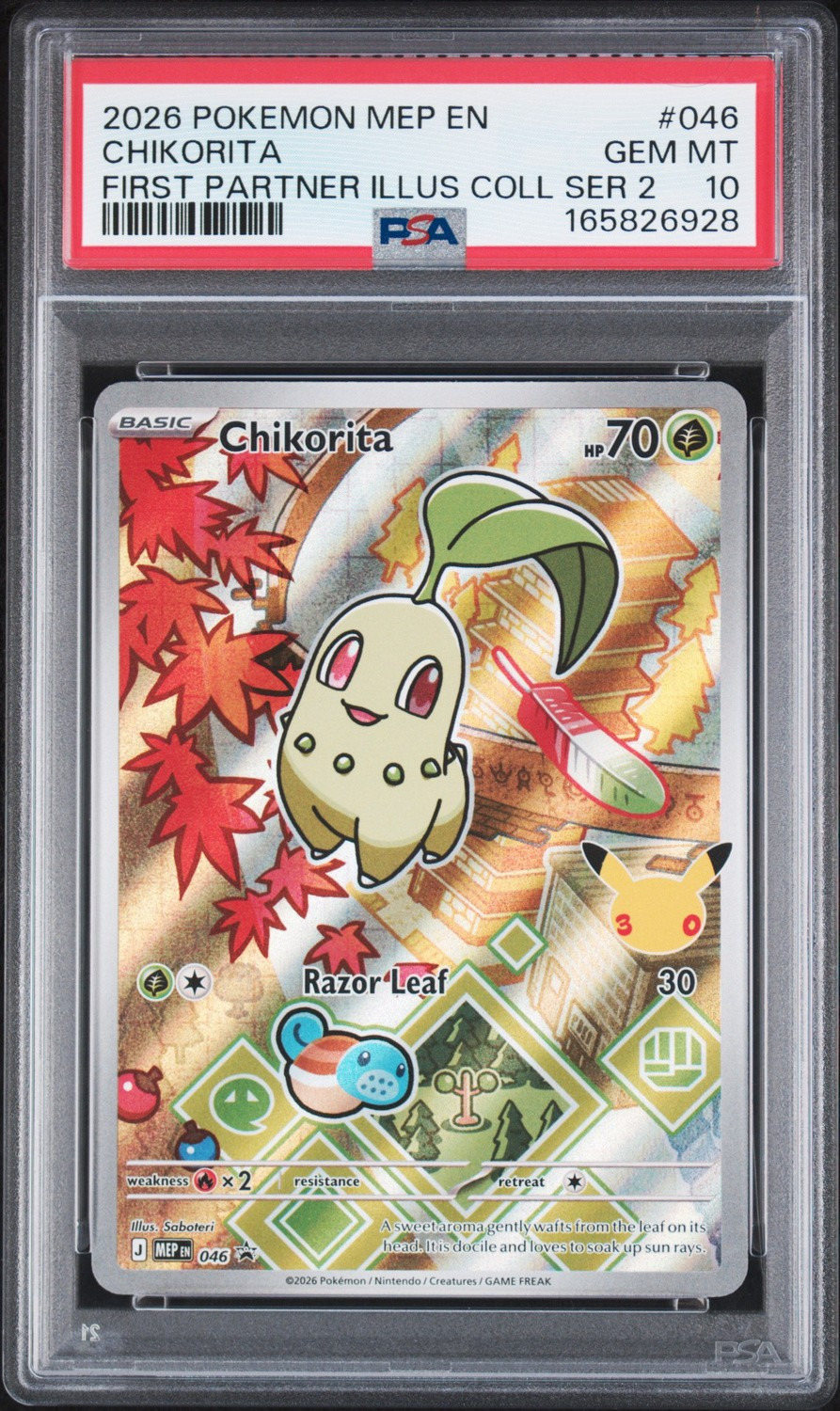 Chikorita