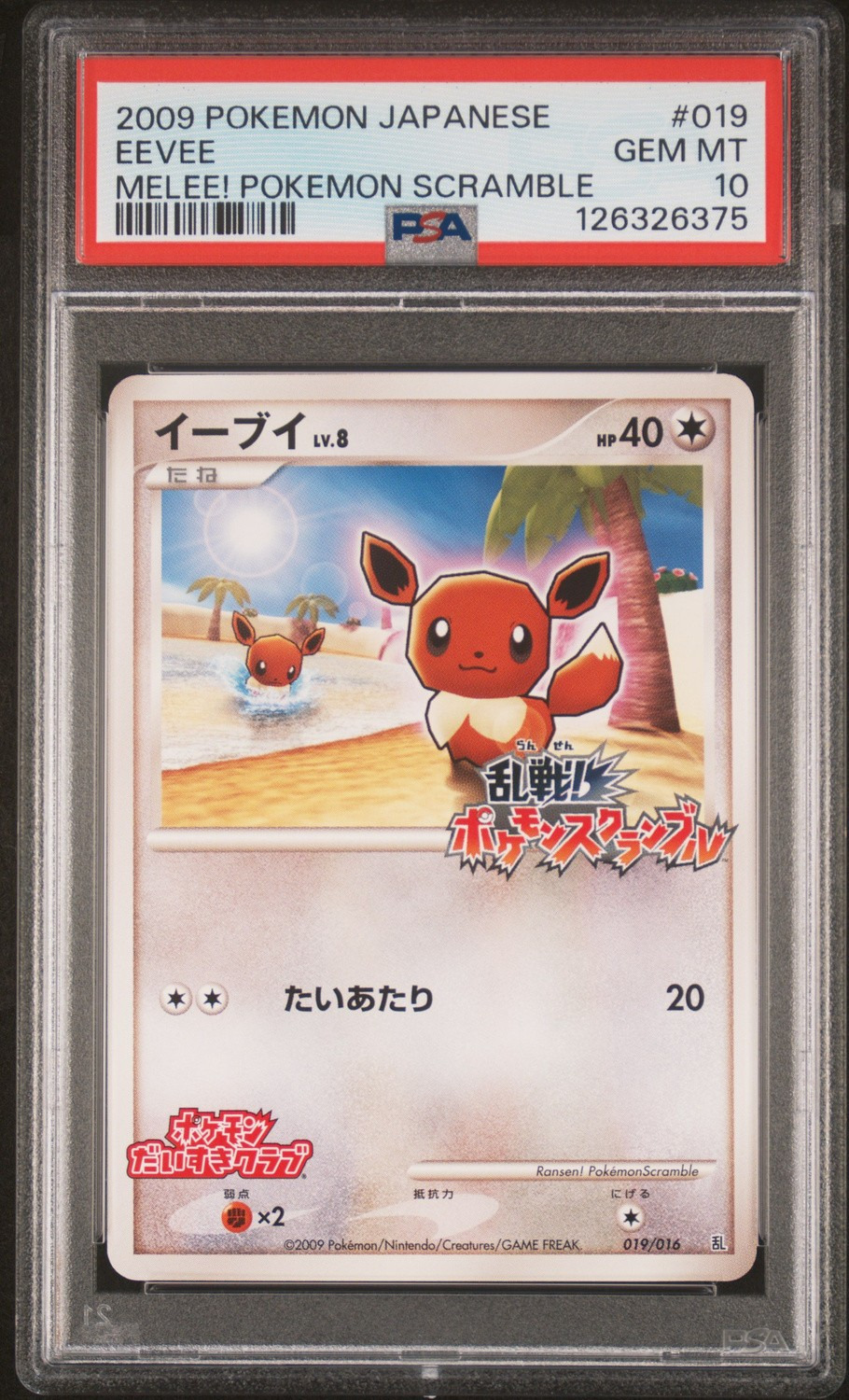 Eevee