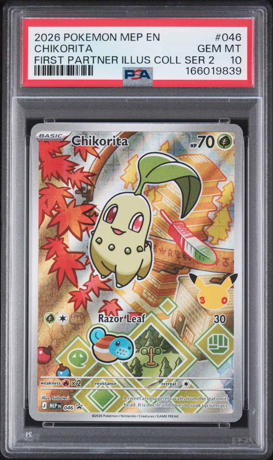 Chikorita