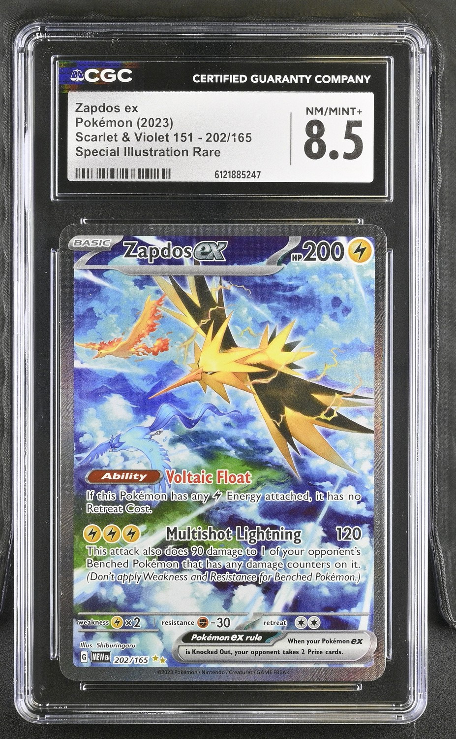 ZAPDOS ex