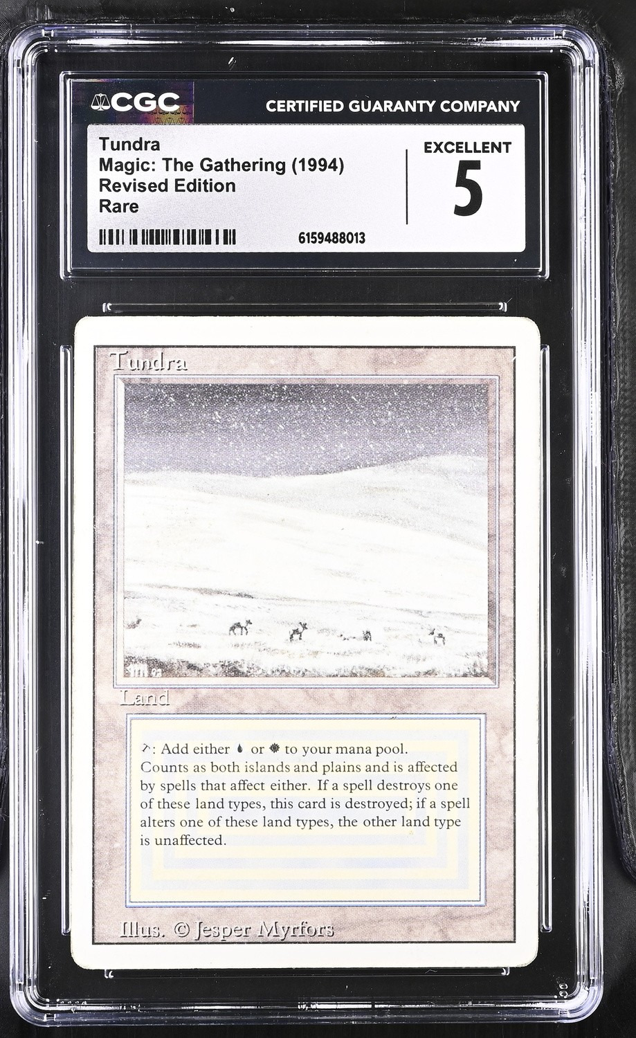 Tundra