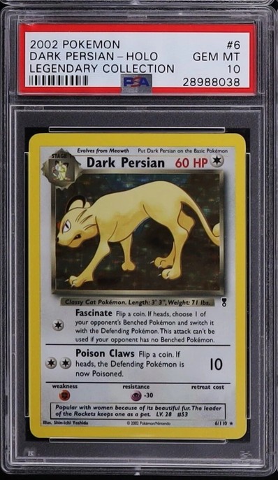 Dark Persian