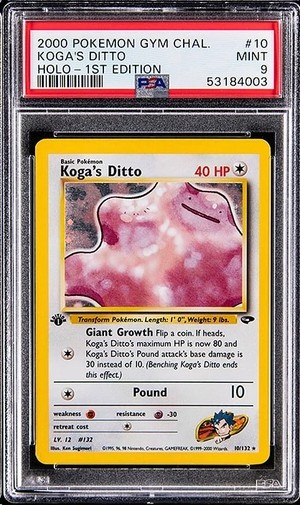Koga's Ditto
