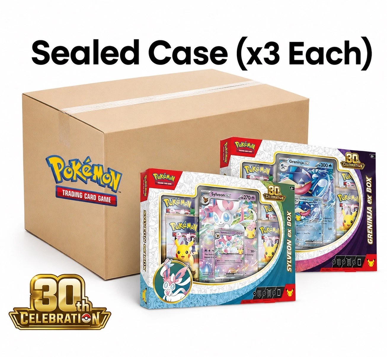 Case
