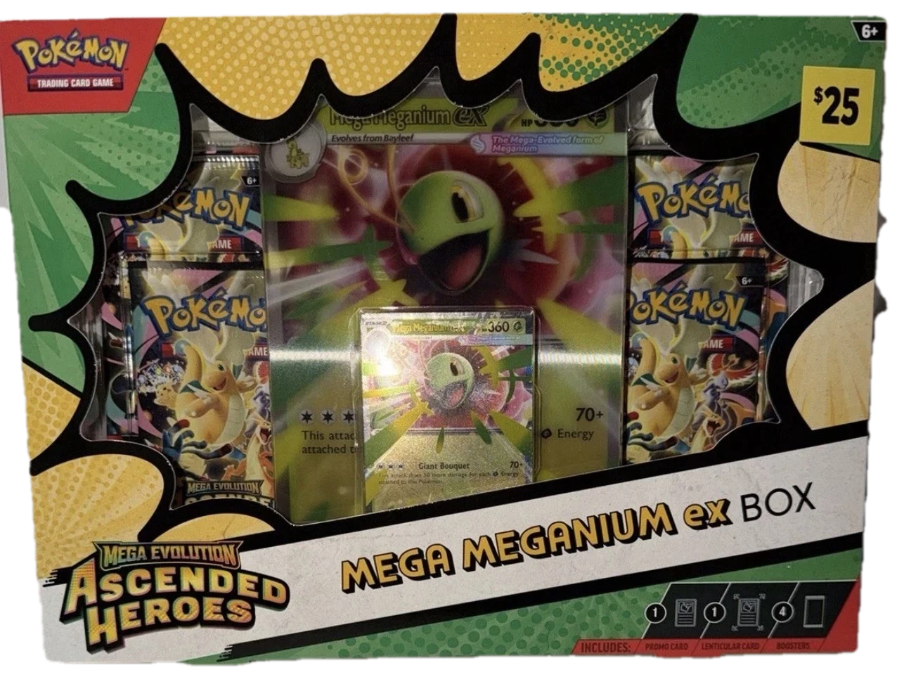 Evolutions Mega Meganium Box Collection Box